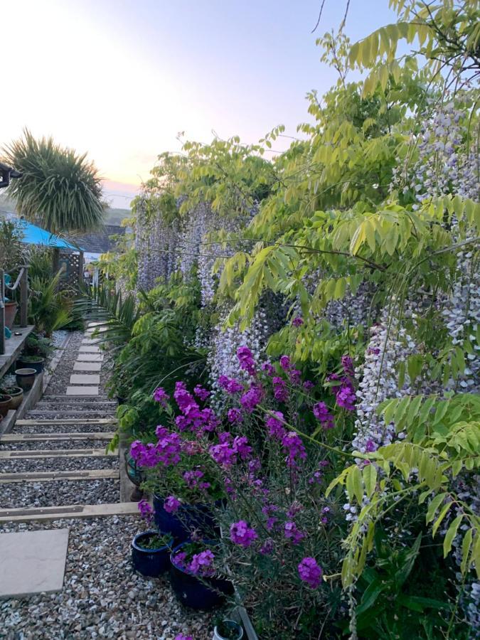 Stargazy Garden Apartment Hayle Ngoại thất bức ảnh